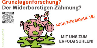 Schwein Eberhard auf einem Poster zur Schreibwoche