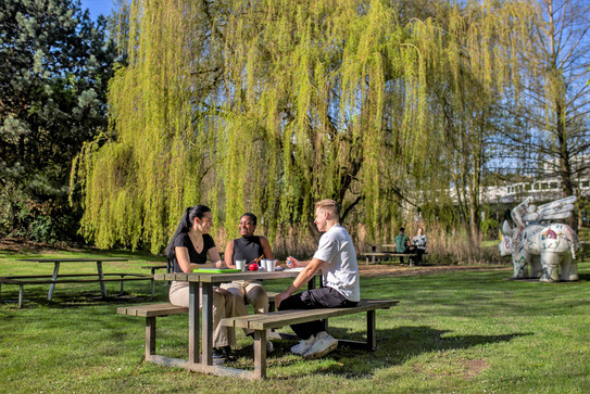 Drei Studierende sitzen an einem Sommertag an einer Sitzbank mit Tisch auf einer Wiese und unterhalten sich gut gelaunt.